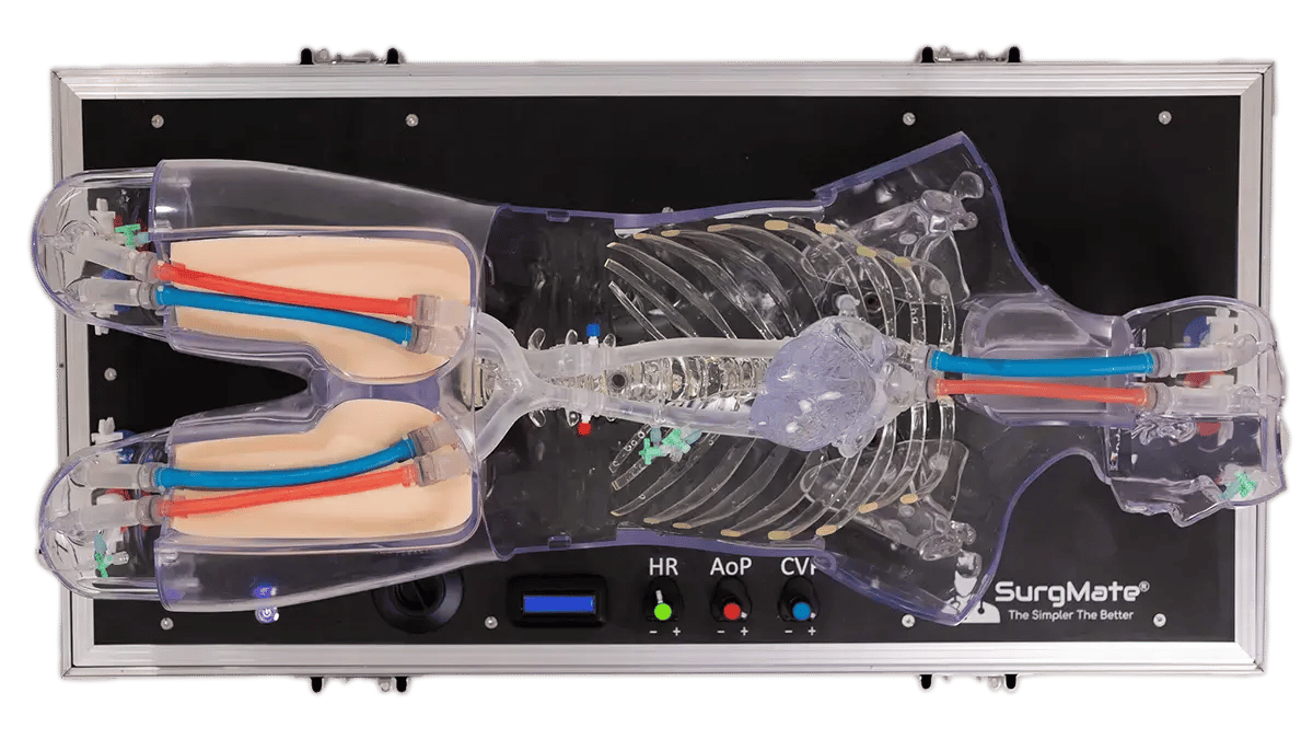 F_20250828174244Zvh520