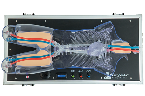 ECMO-top-view ECMO-top-view